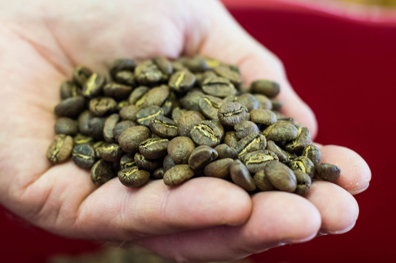 Glory Cloud Coffee Roasters