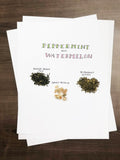 Watermelon Peppermint