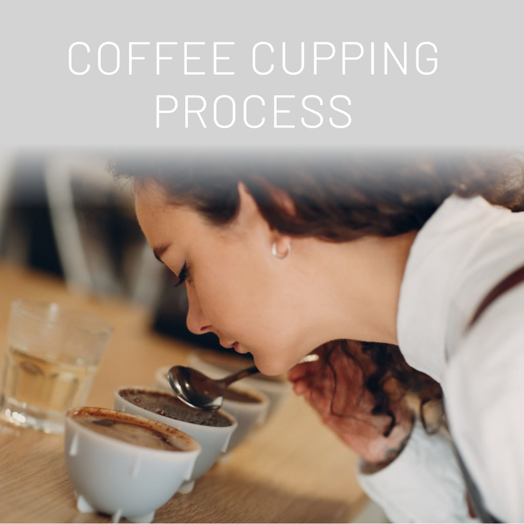 Unraveling the Mystery of Coffee Cupping